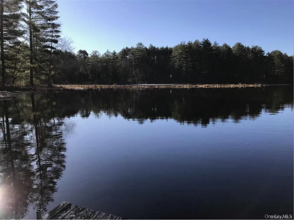 Lot 92 Mathias Weiden Drive Narrowsburg, NY 12764