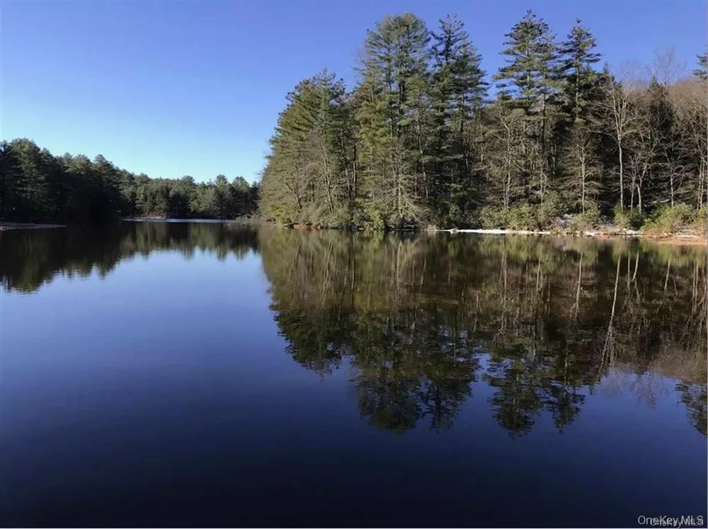 Lot 92 Mathias Weiden Drive Narrowsburg, NY 12764