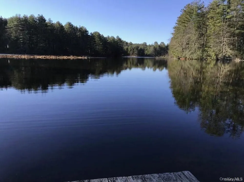 Lot 92 Mathias Weiden Drive Narrowsburg, NY 12764