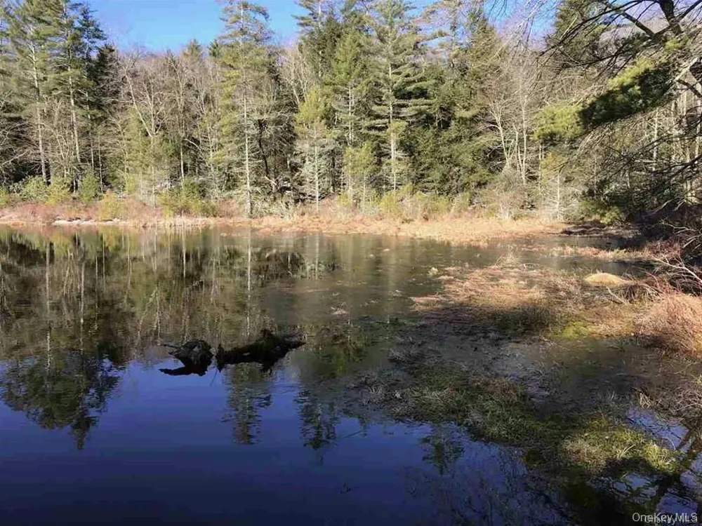 Lot 92 Mathias Weiden Drive Narrowsburg, NY 12764