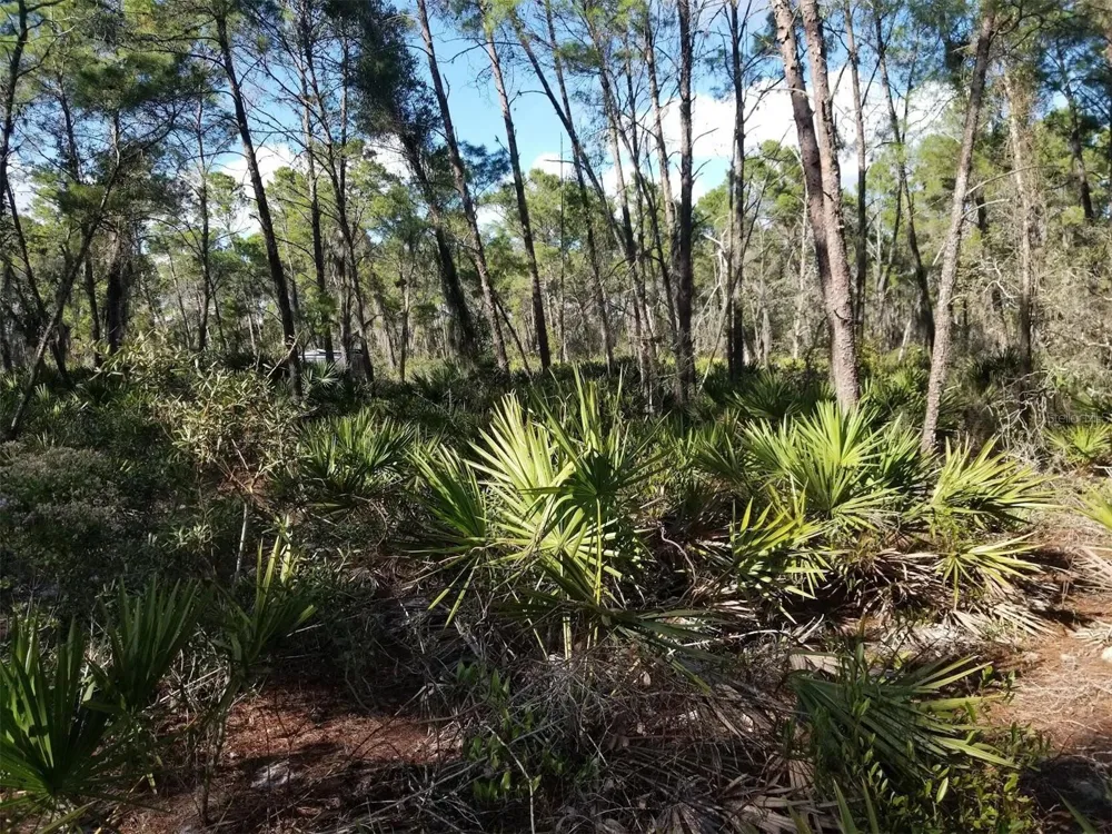 455 HUMMINGBIRD AVENUE Sebring, FL 33872