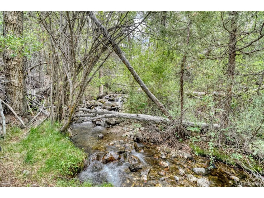 2215 Sunnyvale Crestone, CO 81131