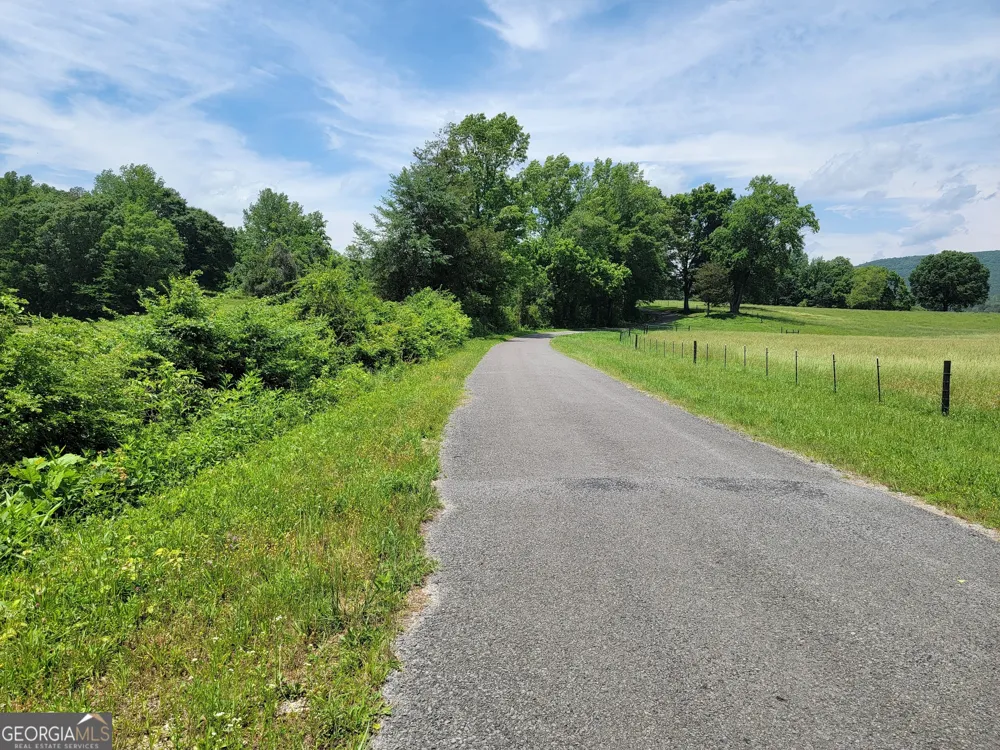 0 co rd 64 Gaylesville, AL 35973