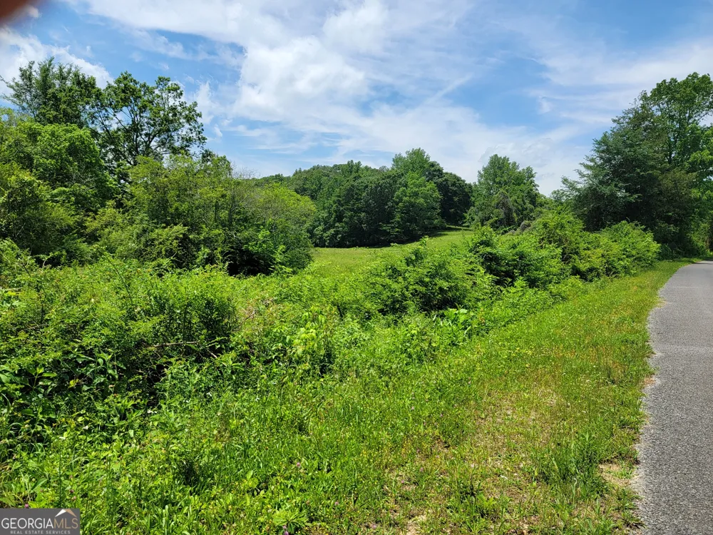 0 co rd 64 Gaylesville, AL 35973