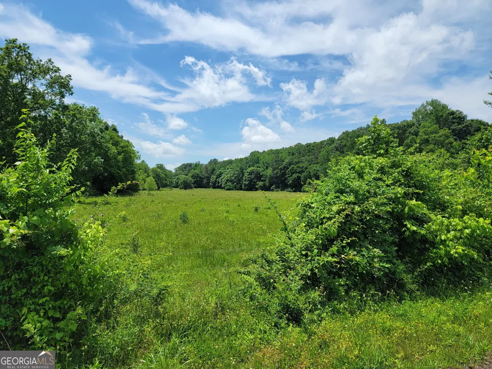 0 co rd 64 Gaylesville, AL 35973
