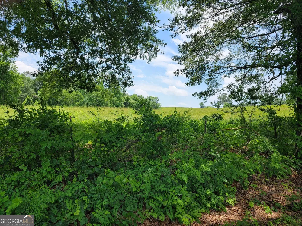 0 co rd 64 Gaylesville, AL 35973