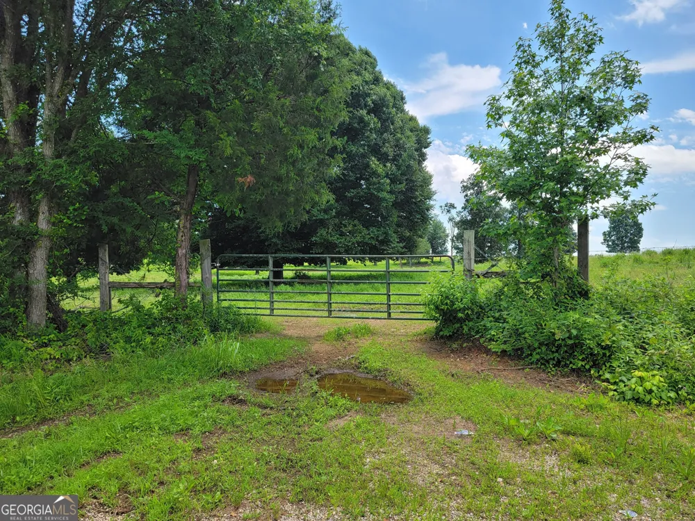0 co rd 64 Gaylesville, AL 35973