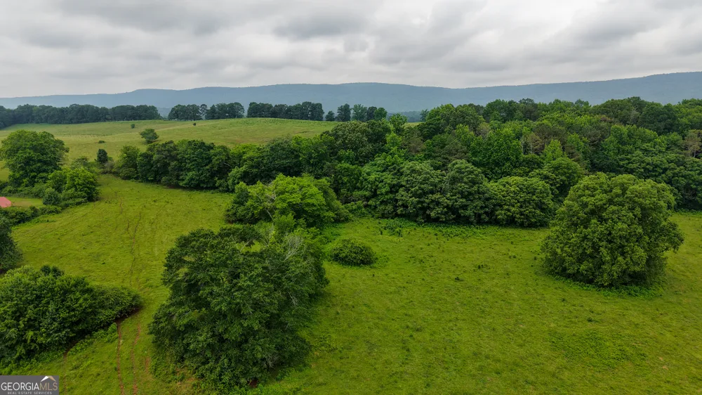 0 co rd 64 Gaylesville, AL 35973