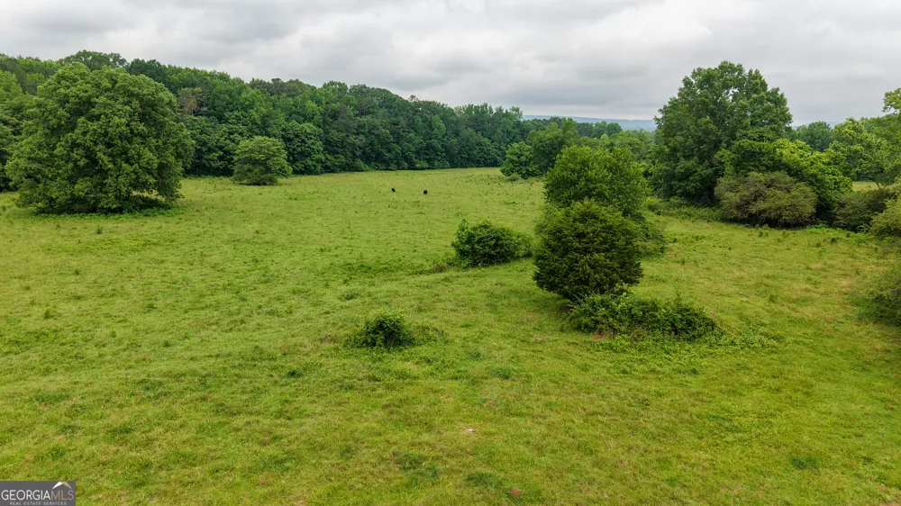 0 co rd 64 Gaylesville, AL 35973
