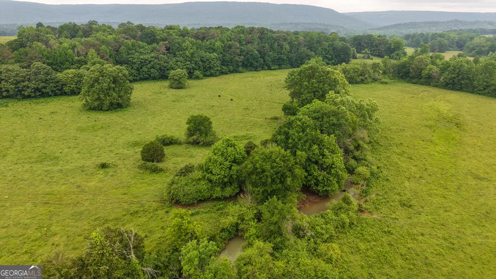 0 co rd 64 Gaylesville, AL 35973