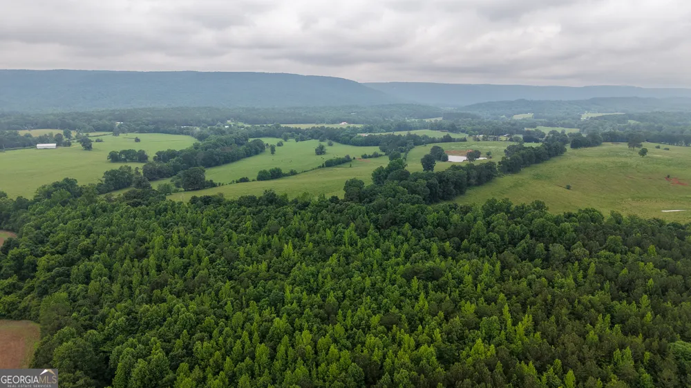 0 co rd 64 Gaylesville, AL 35973