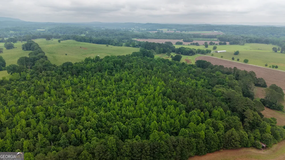0 co rd 64 Gaylesville, AL 35973