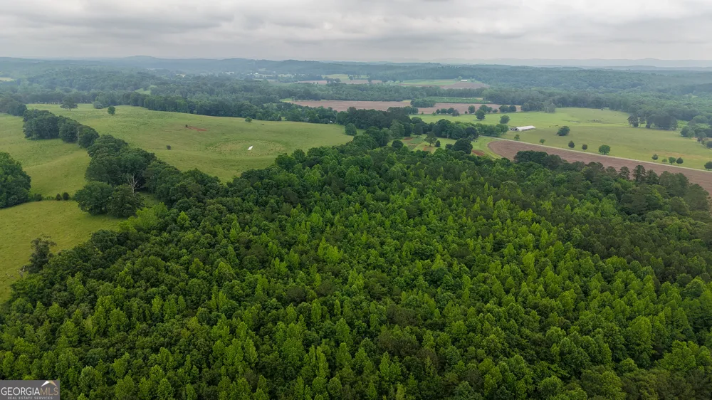 0 co rd 64 Gaylesville, AL 35973