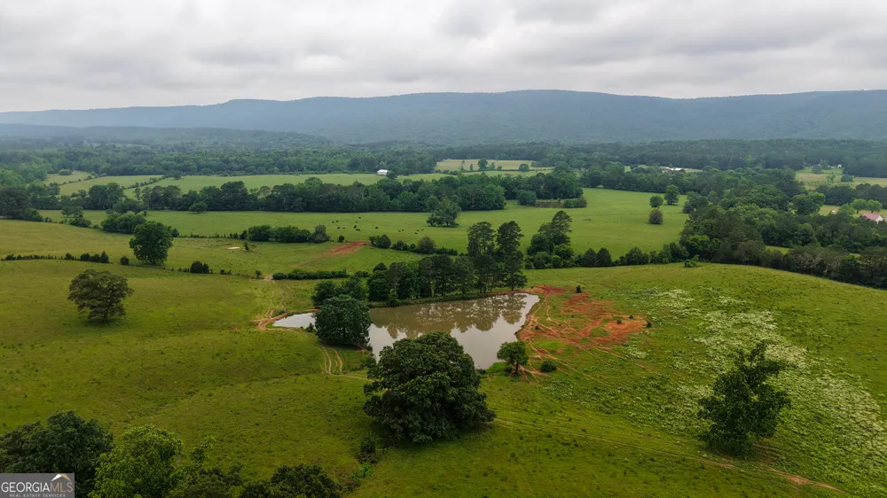 0 co rd 64 Gaylesville, AL 35973