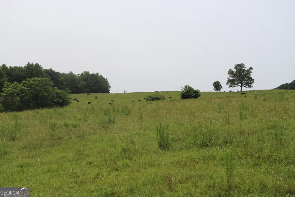 0 co rd 64 Gaylesville, AL 35973