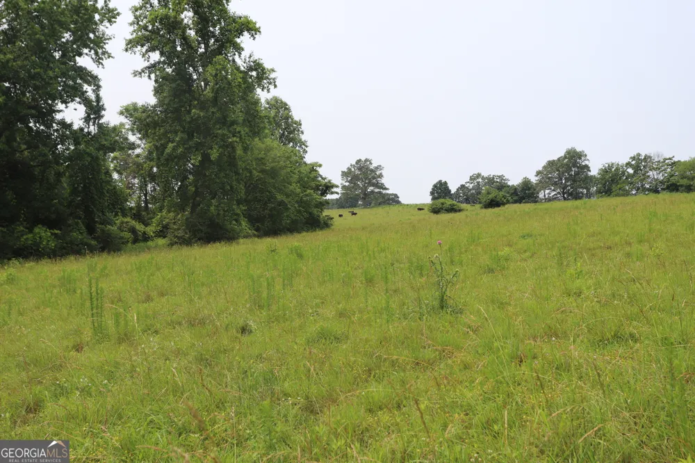 0 co rd 64 Gaylesville, AL 35973