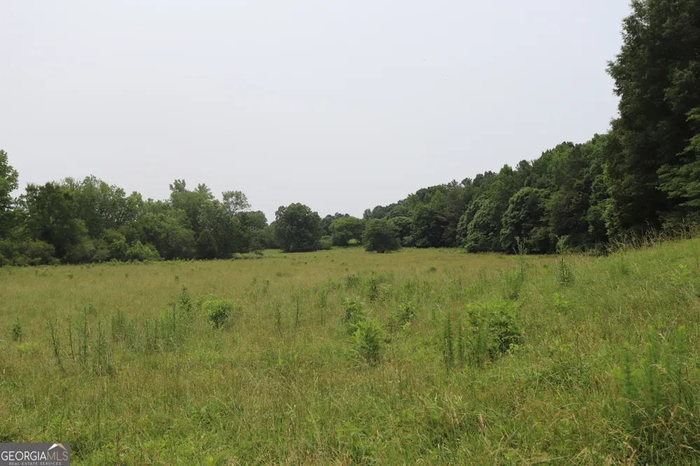 0 co rd 64 Gaylesville, AL 35973