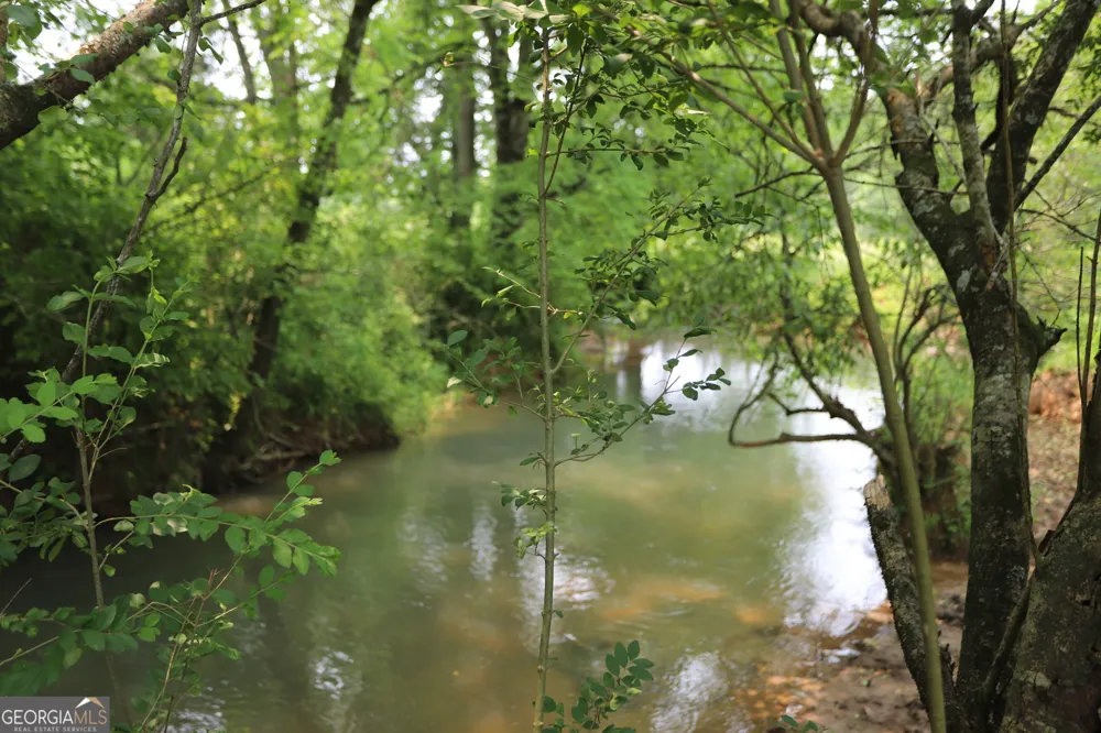 0 co rd 64 Gaylesville, AL 35973
