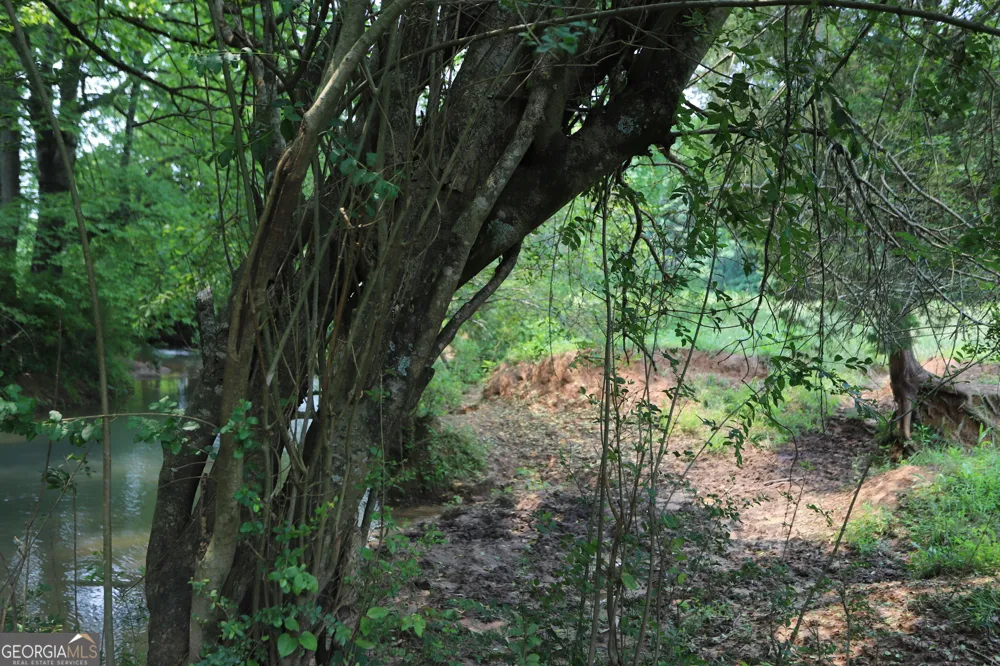 0 co rd 64 Gaylesville, AL 35973