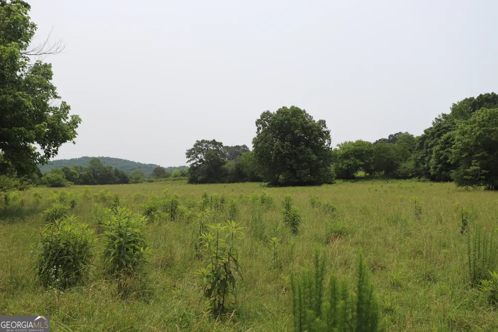 0 co rd 64 Gaylesville, AL 35973