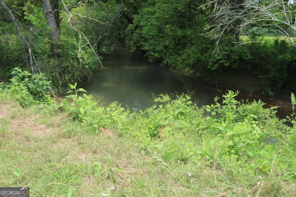 0 co rd 64 Gaylesville, AL 35973