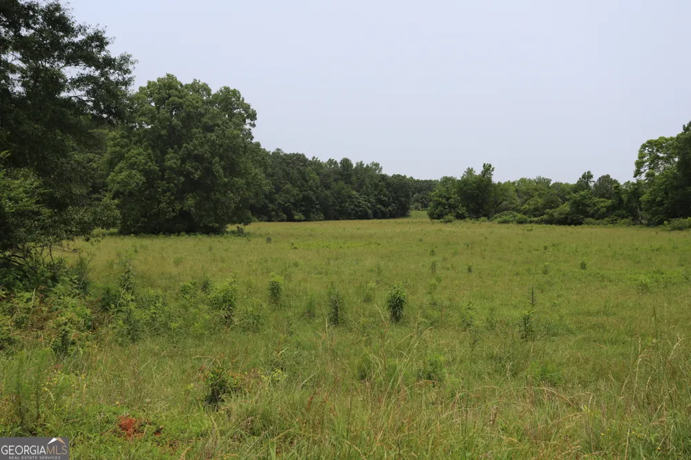 0 co rd 64 Gaylesville, AL 35973
