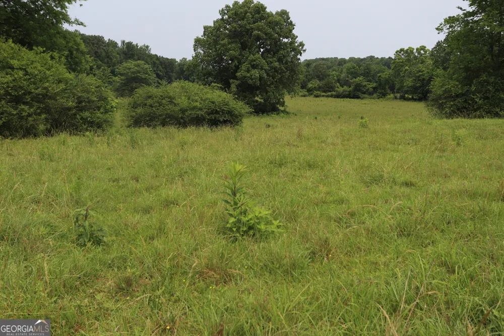 0 co rd 64 Gaylesville, AL 35973
