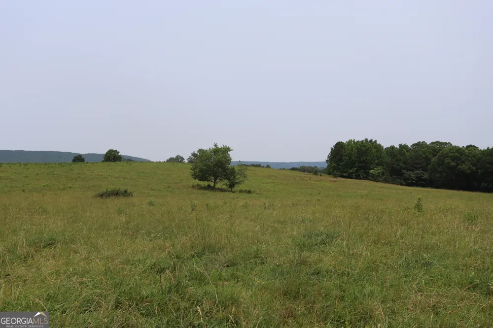 0 co rd 64 Gaylesville, AL 35973