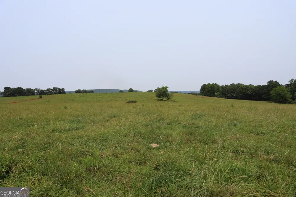 0 co rd 64 Gaylesville, AL 35973