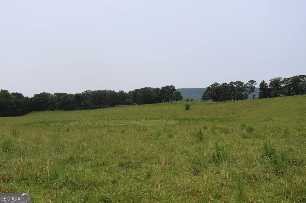 0 co rd 64 Gaylesville, AL 35973