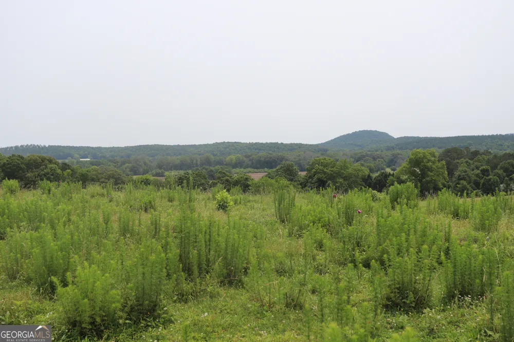 0 co rd 64 Gaylesville, AL 35973