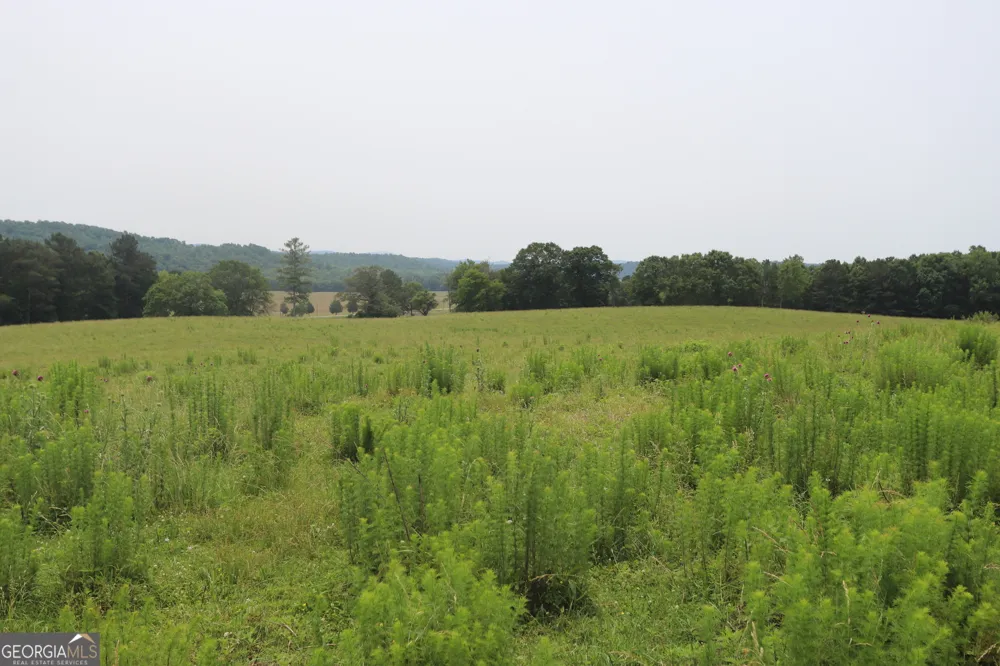 0 co rd 64 Gaylesville, AL 35973