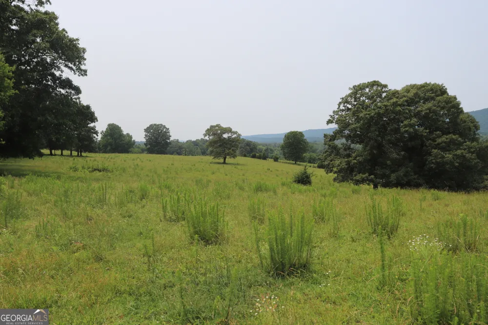 0 co rd 64 Gaylesville, AL 35973