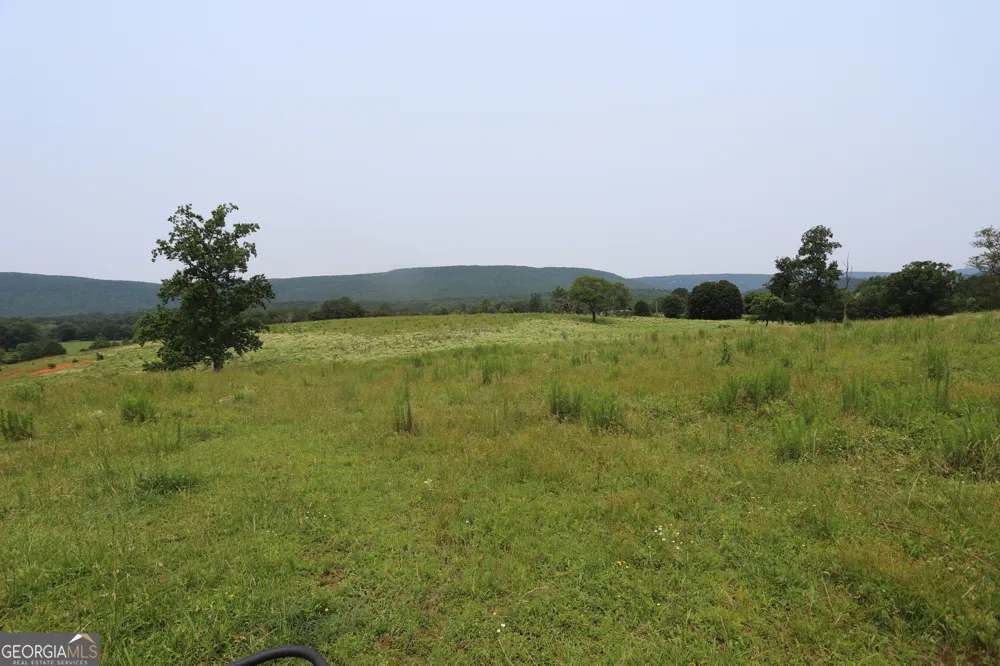 0 co rd 64 Gaylesville, AL 35973