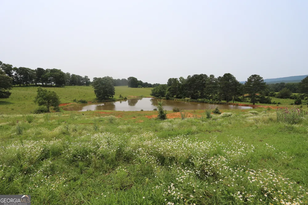 0 co rd 64 Gaylesville, AL 35973