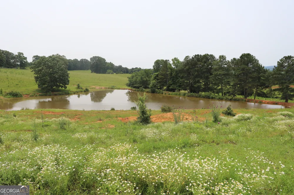 0 co rd 64 Gaylesville, AL 35973