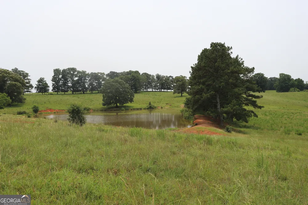 0 co rd 64 Gaylesville, AL 35973