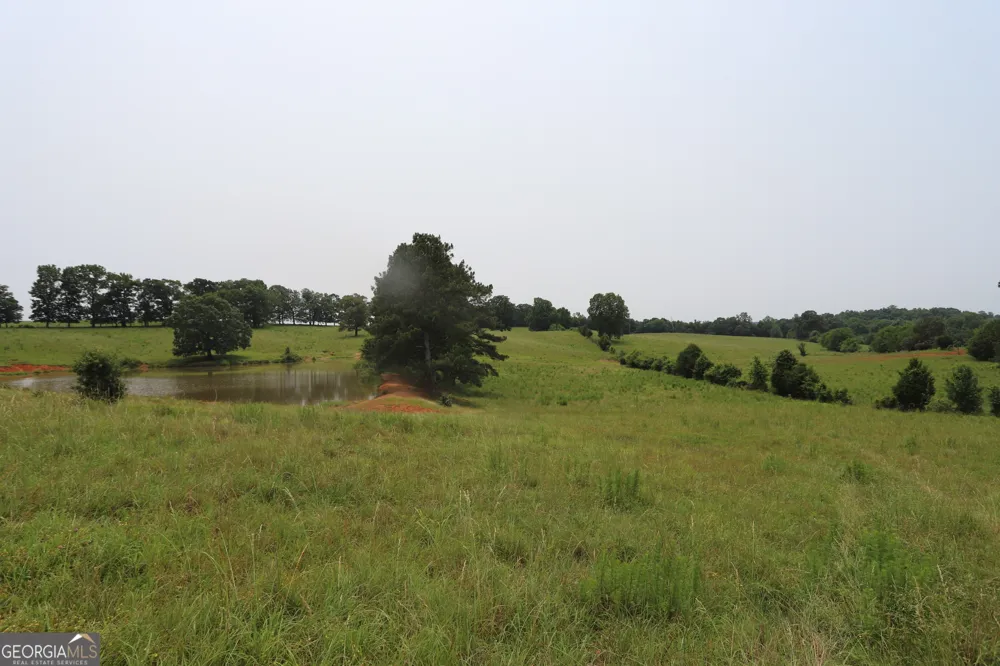 0 co rd 64 Gaylesville, AL 35973