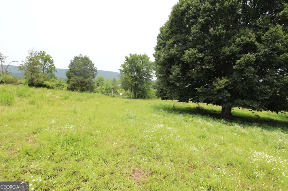 0 co rd 64 Gaylesville, AL 35973