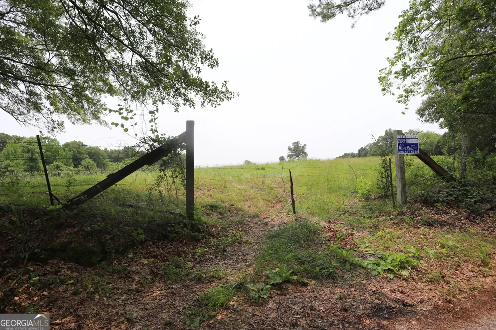 0 co rd 64 Gaylesville, AL 35973