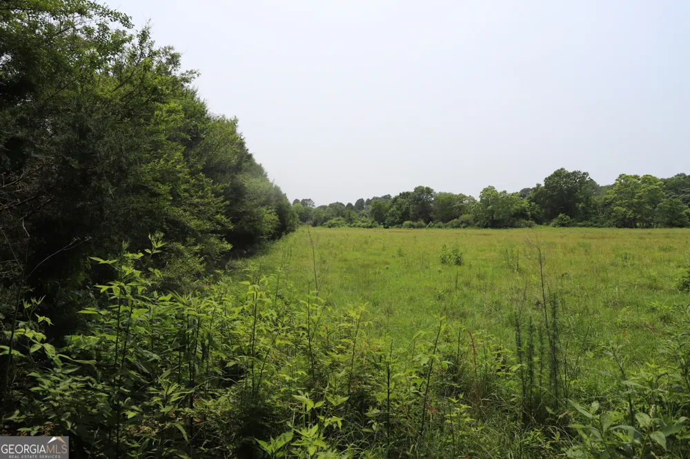 0 co rd 64 Gaylesville, AL 35973