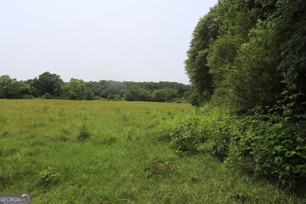 0 co rd 64 Gaylesville, AL 35973