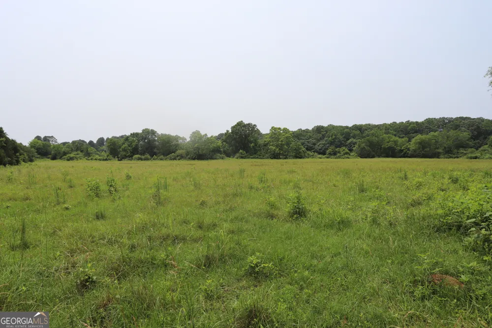 0 co rd 64 Gaylesville, AL 35973