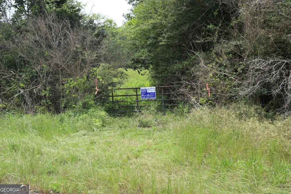 0 co rd 64 Gaylesville, AL 35973