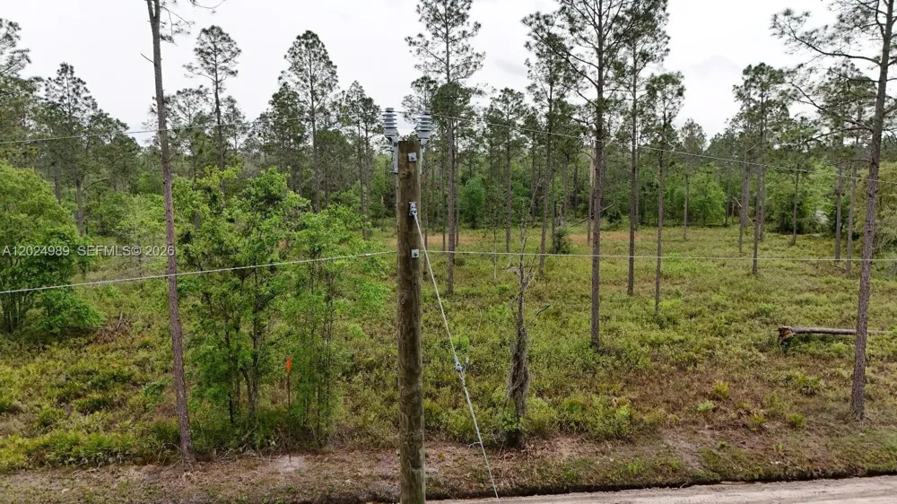 SE COUNTY ROAD 25A Other City - In The State Of Florida, FL 32096