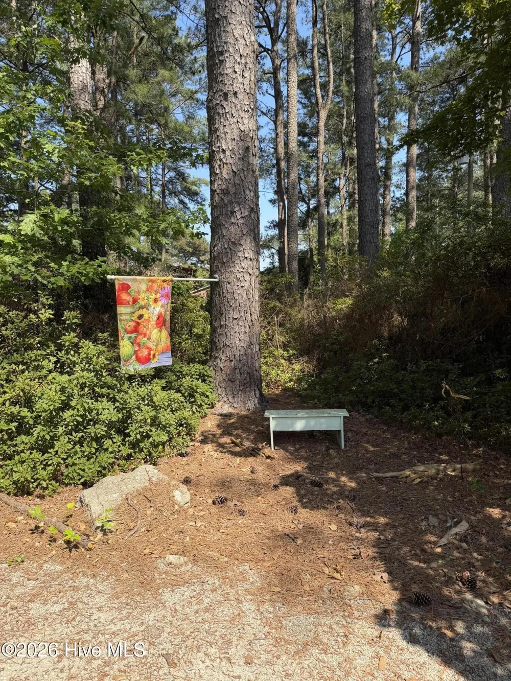 3899 Highway 58 Trenton, NC 28585
