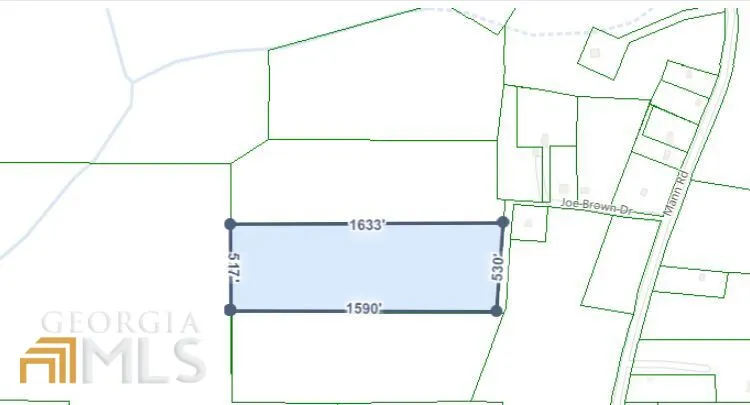 0 LOT 107 Joe Brown DR Shiloh, GA 31826