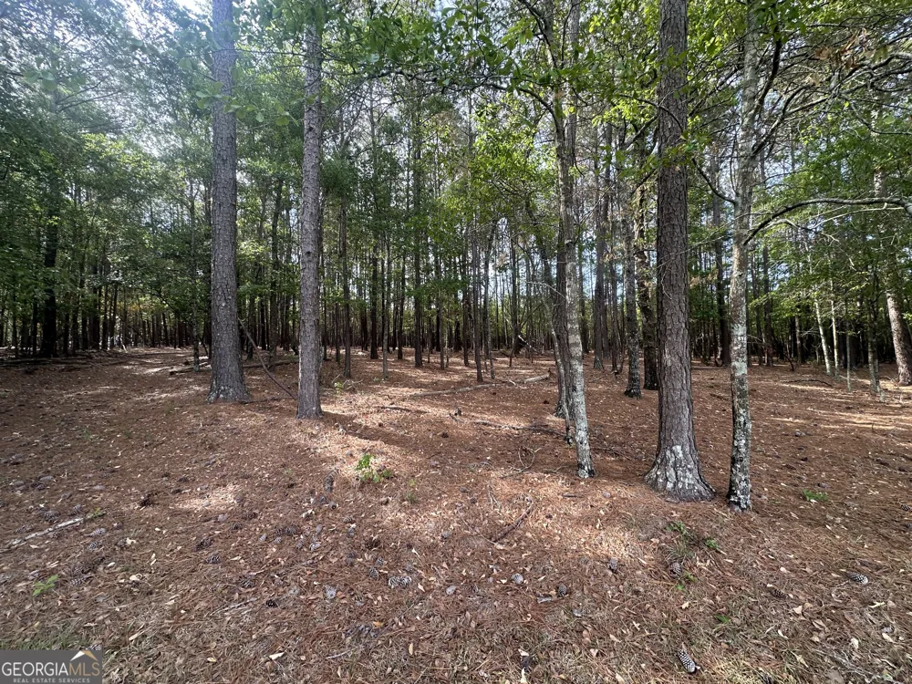 1309 Jarrell Pond RD Sylvania, GA 30467