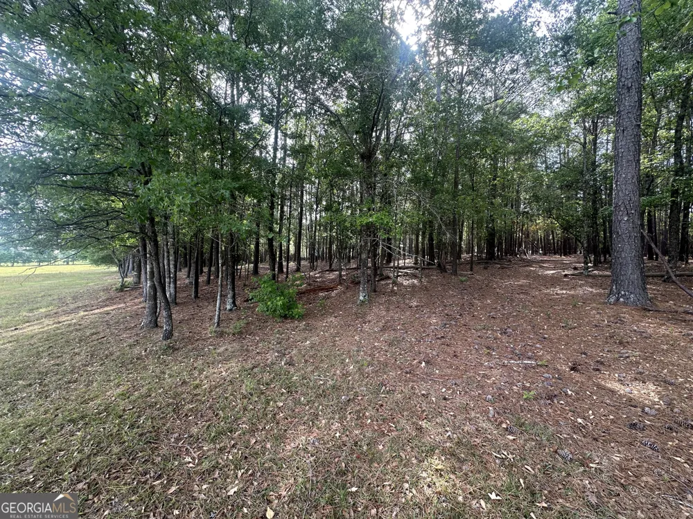1309 Jarrell Pond RD Sylvania, GA 30467