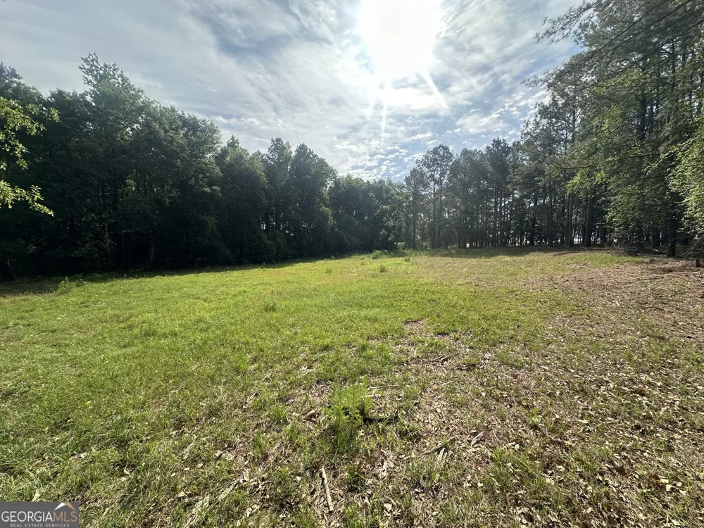 1309 Jarrell Pond RD Sylvania, GA 30467